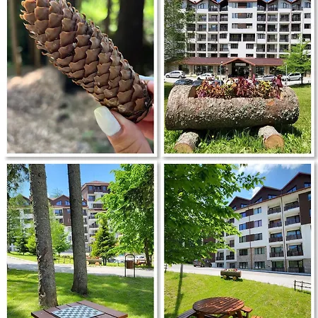 The Apartment Borovets